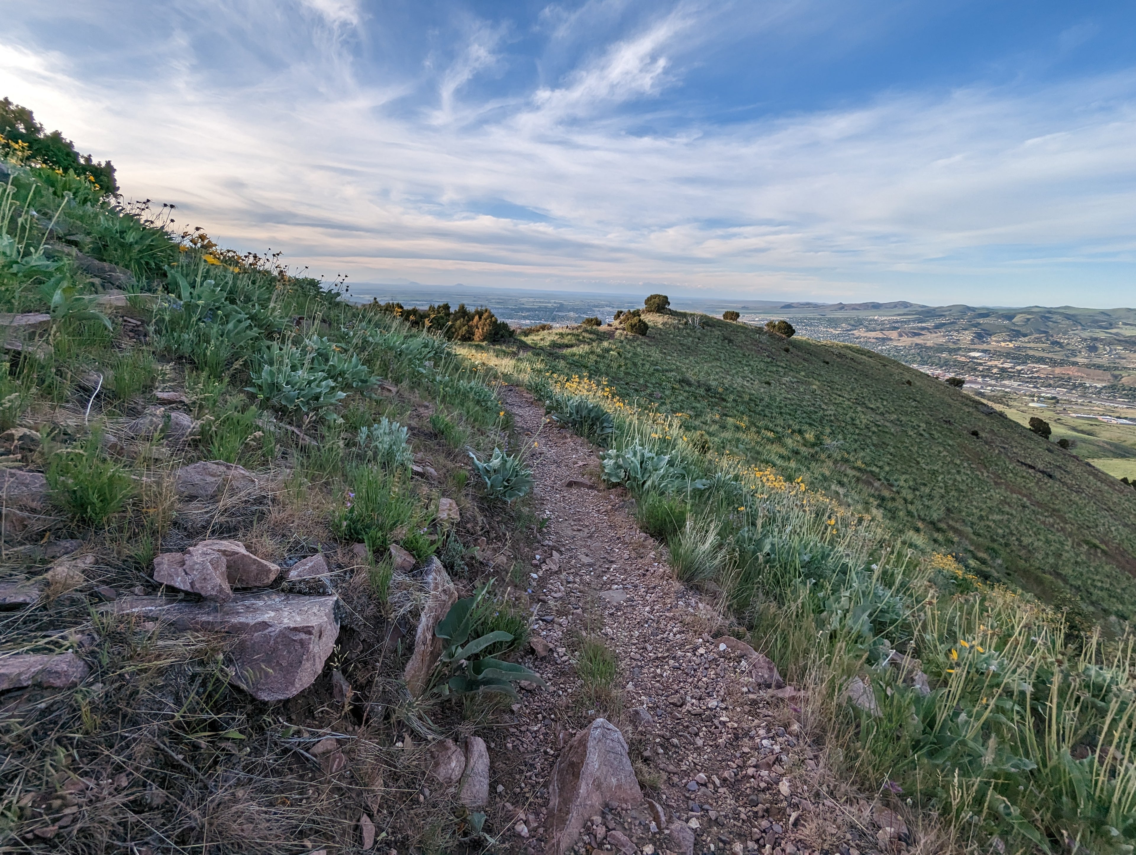 Over the Top Trail